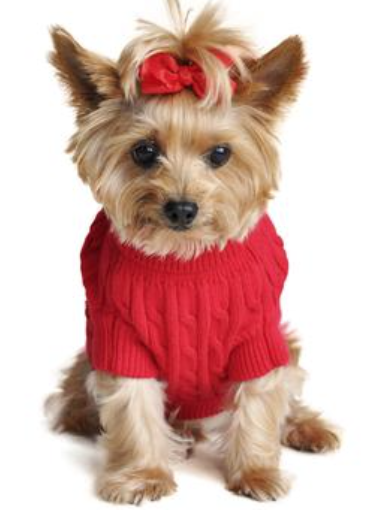 Get ready for the colder months with our classic Cable Knit Sweaters for dogs - perfect for fall and winter! - My Best Friend Furever