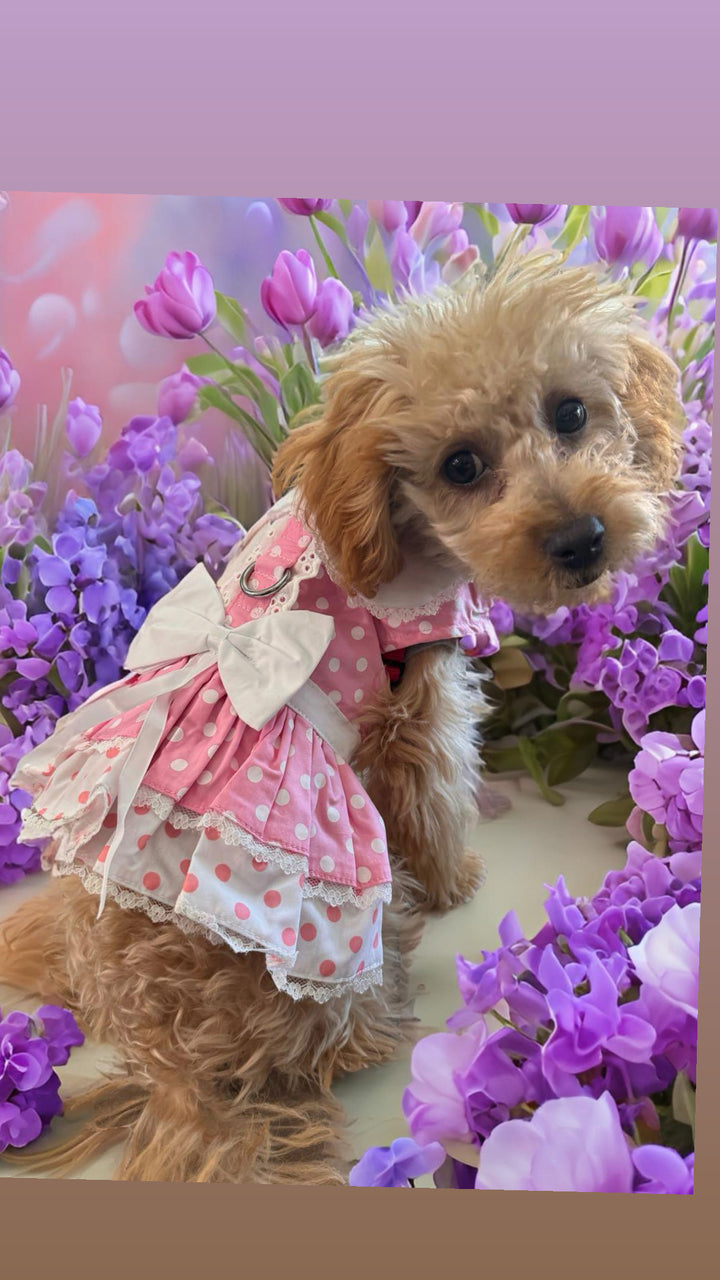 Pink & White Polka Dot Harness Dress - My Best Friend Furever