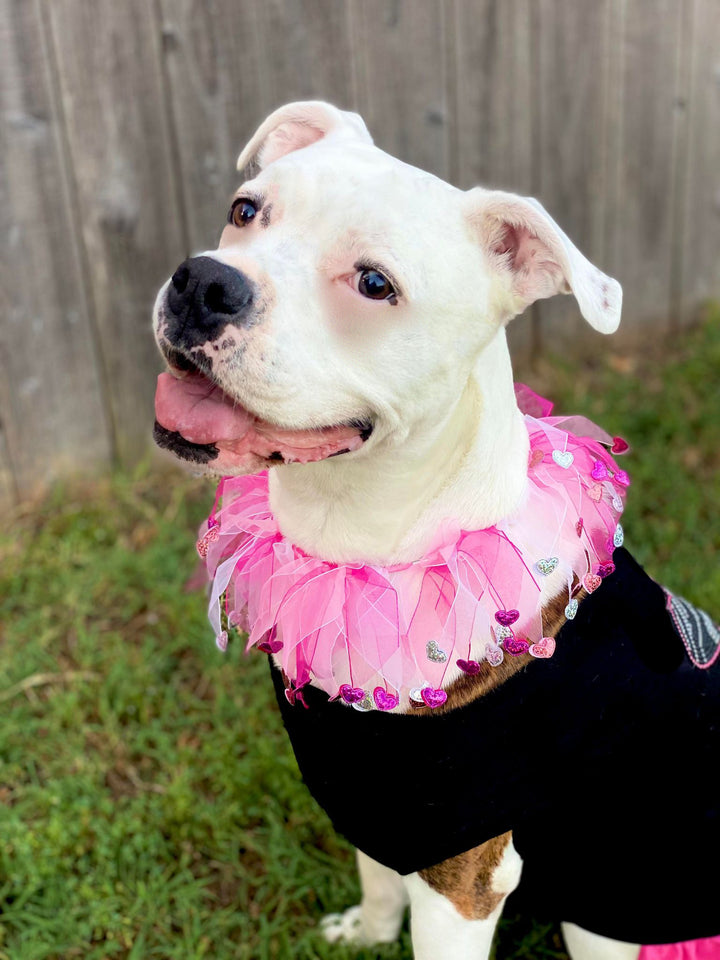 Easter Dog Smoocher - My Best Friend Furever
