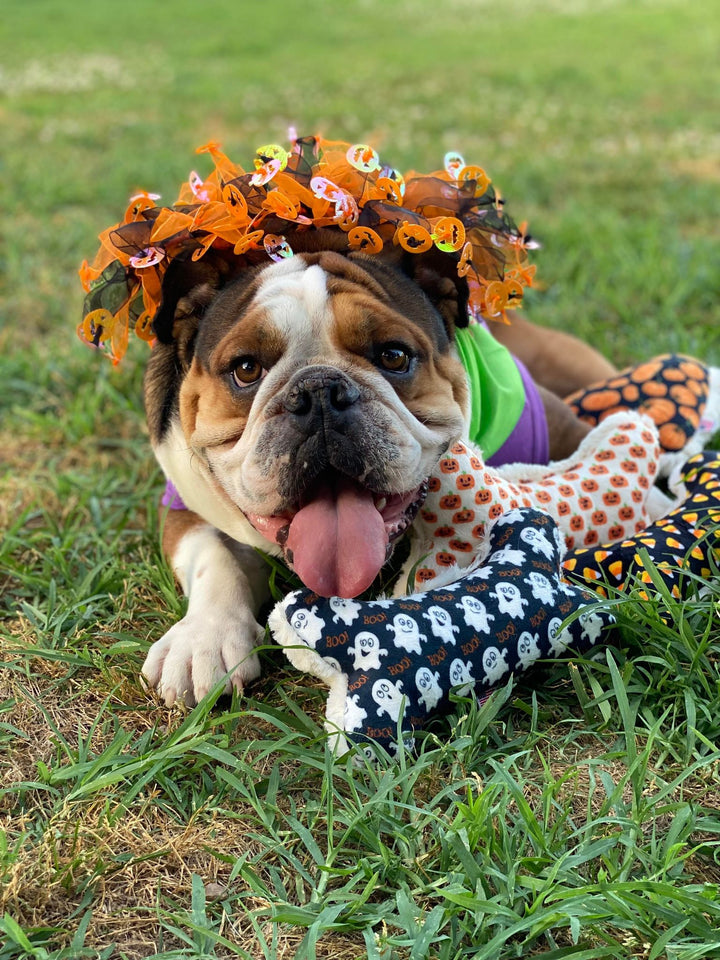 Mardi Gras Smoocher - My Best Friend Furever