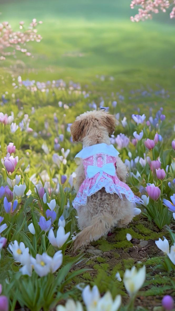 Pink & White Polka Dot Harness Dress - My Best Friend Furever