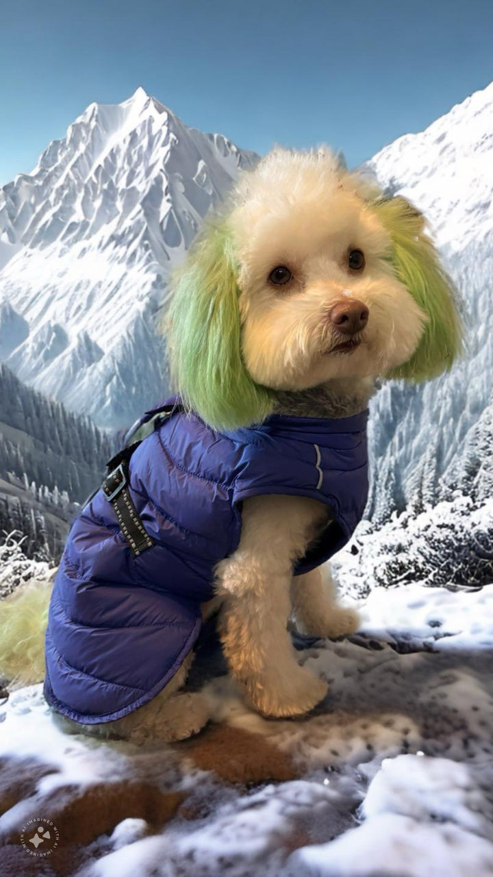 Alpine Extreme Weather Puffer Coat for Adventurous Dogs - My Best Friend Furever