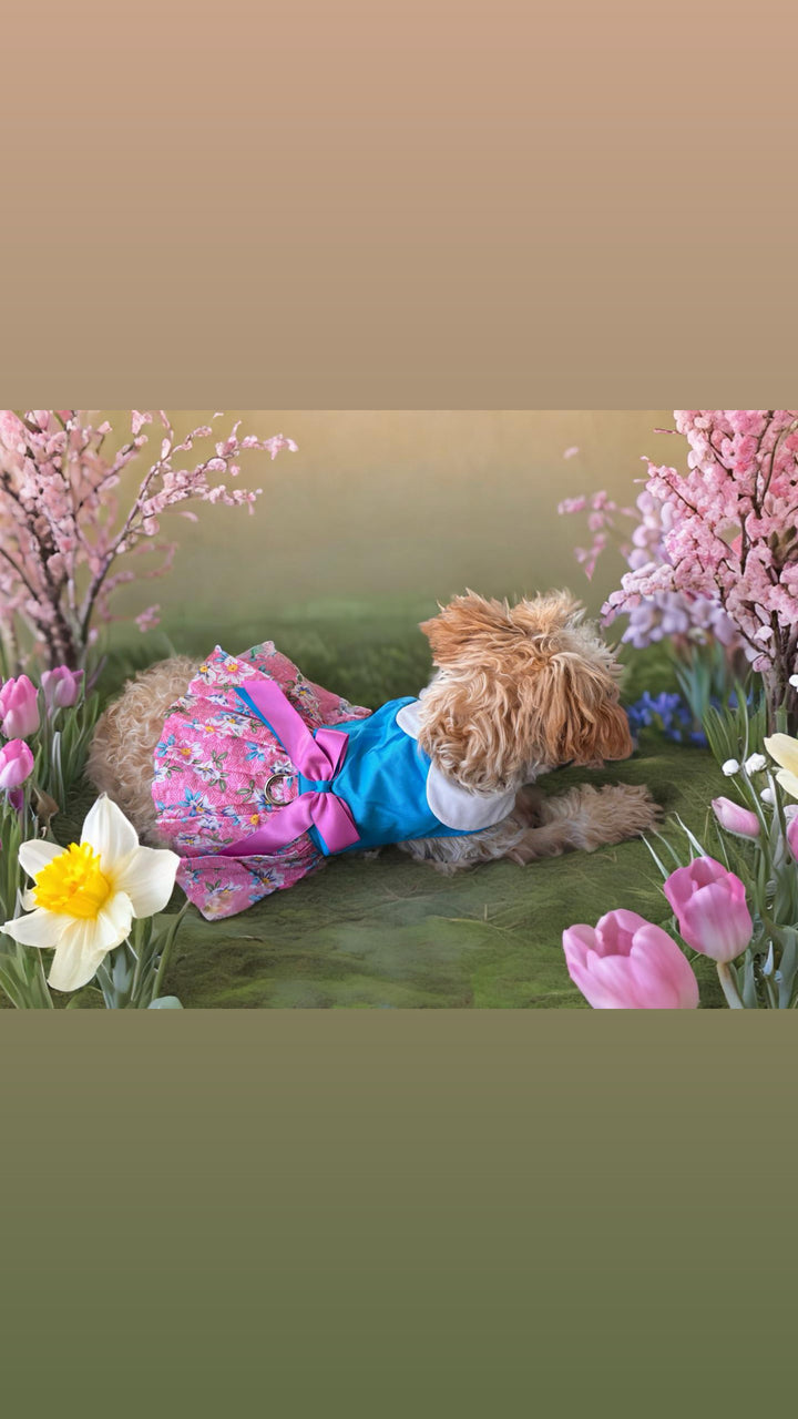 Pink and Blue Plumeria Floral Dog Dress - My Best Friend Furever