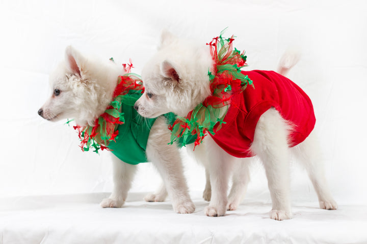 Christmas Smoocher - My Best Friend Furever