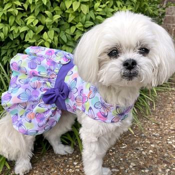 Purple Butterfly Dress - My Best Friend Furever