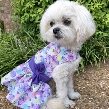 Purple Butterfly Dress - My Best Friend Furever