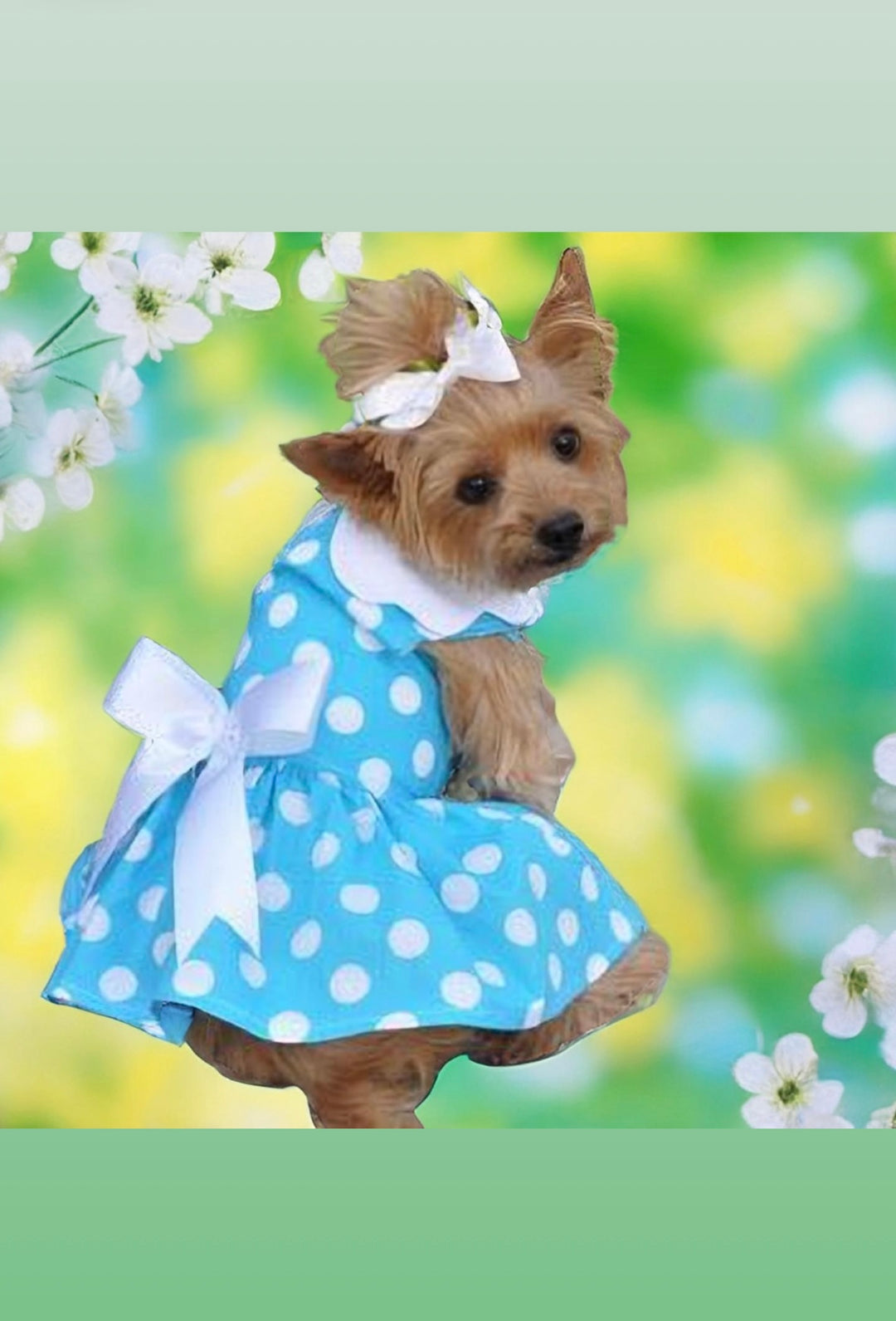 Blue and White Polka Dot Harness Dress - My Best Friend Furever