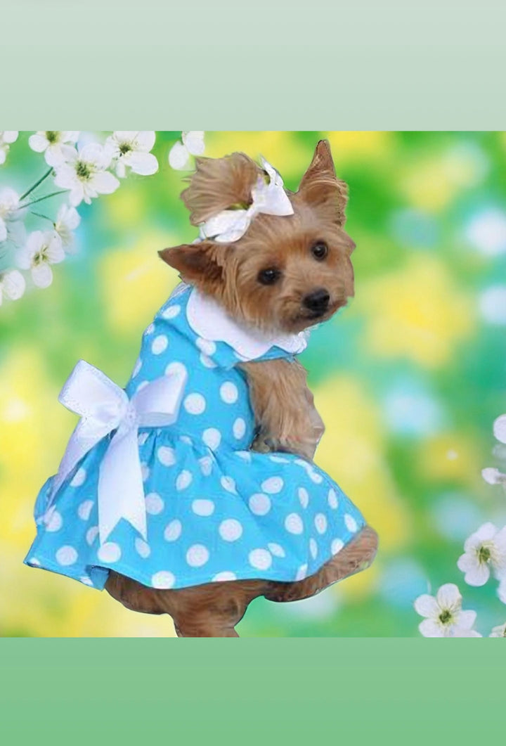 Blue and White Polka Dot Harness Dress - My Best Friend Furever