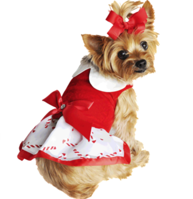 Festive Holiday Pet Dress: Candy Cane Harness Dresses with Matching Leashes - My Best Friend Furever