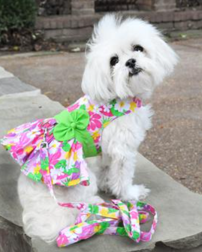 Pink Hawaiian Floral Dog Harness Dress - My Best Friend Furever