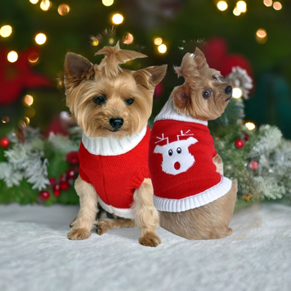 Festive Combed Cotton Holiday Dog Sweaters - My Best Friend Furever