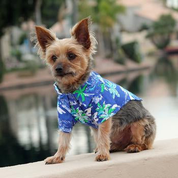 Ocean Blue Palms Hawaiian Dog Shirt - My Best Friend Furever