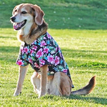 Paradise Nights Floral Hawaiian Dog Shirt - My Best Friend Furever