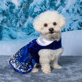 Holiday Harness Dress- Snowflakes - My Best Friend Furever