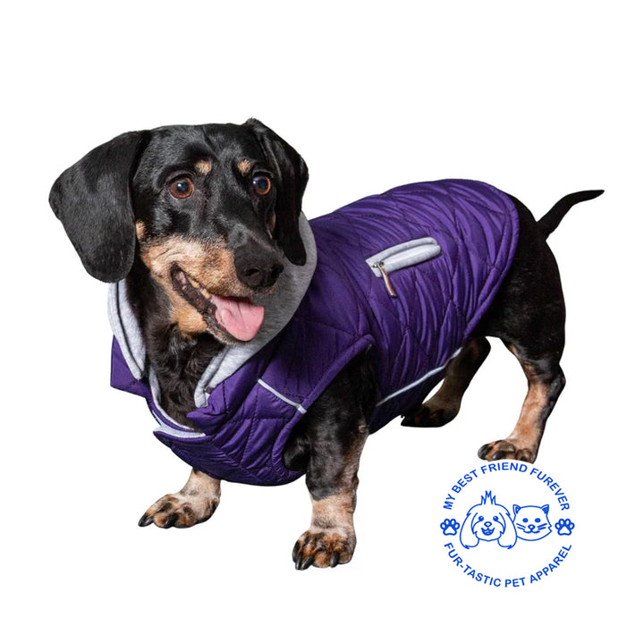 Quilted Weekender Dog Sweatshirt Hoodie -Zip-Off Hood & Reflective Stripes - Cozy Jersey Lined Puffer for Pets - My Best Friend Furever