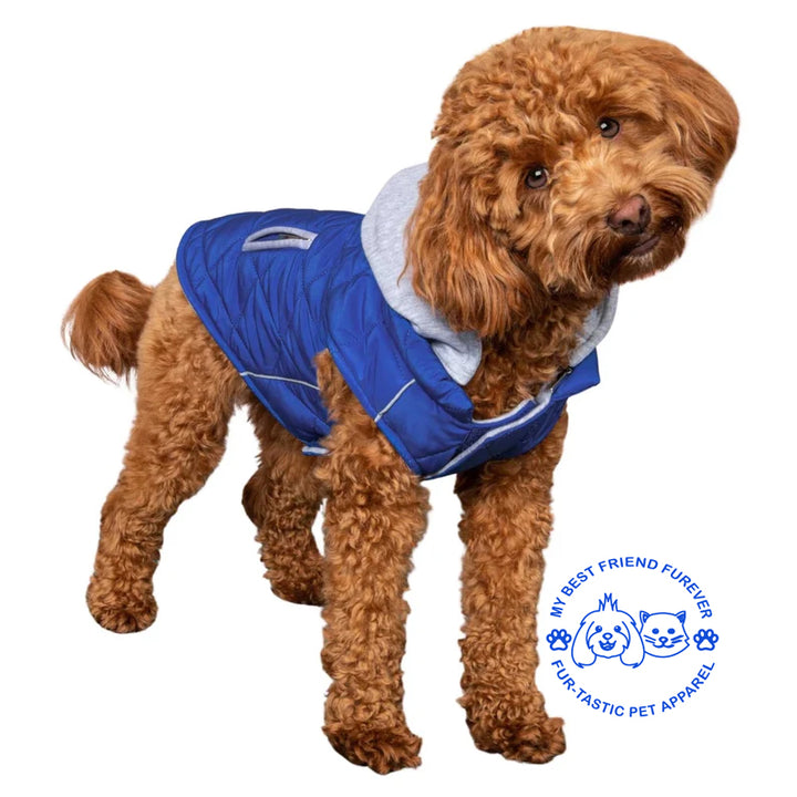 Quilted Weekender Dog Sweatshirt Hoodie -Zip-Off Hood & Reflective Stripes - Cozy Jersey Lined Puffer for Pets - My Best Friend Furever