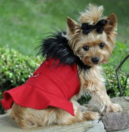Wool Dog Coat with Faux Fur Collar - Harness Style with Black Fur Trim and Accent Buttons - Elegant Pet Outerwear - My Best Friend Furever