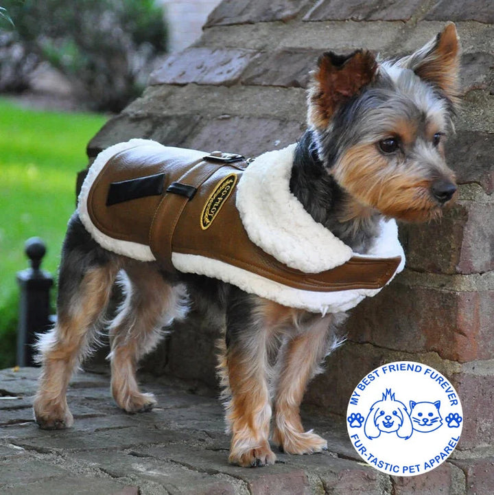 Classic Bomber and Flight Harness Coats for Dogs - Faux Leather with Shearling Lining & Matching Leash - My Best Friend Furever
