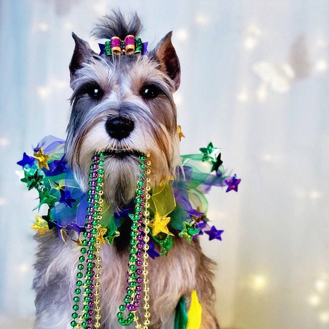 Easter Dog Smoocher - My Best Friend Furever