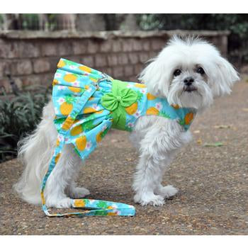 Pineapple Luau Harness Dress - My Best Friend Furever