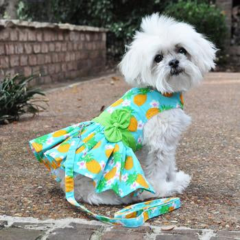 Pineapple Luau Harness Dress - My Best Friend Furever