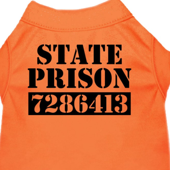 Inmate Escapee Costume Shirt - Unleash the Cell-f Made Cool - My Best Friend Furever