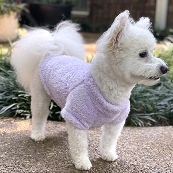 Ultra-Soft Plush Dog Pullover - Comfy & Cute Pet Sweater for All Sizes - My Best Friend Furever
