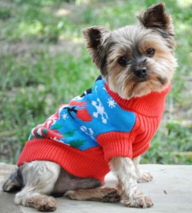 Festive Combed Cotton Holiday Dog Sweaters - My Best Friend Furever