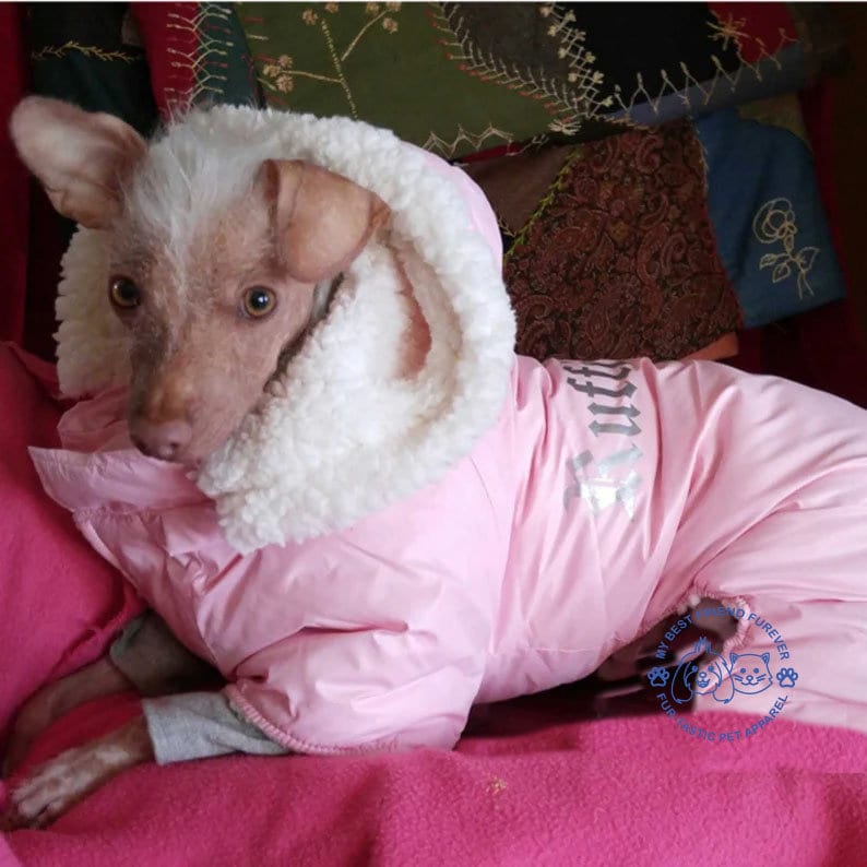 Luxury Dog Snowsuits - Premium Winter Coats - My Best Friend Furever