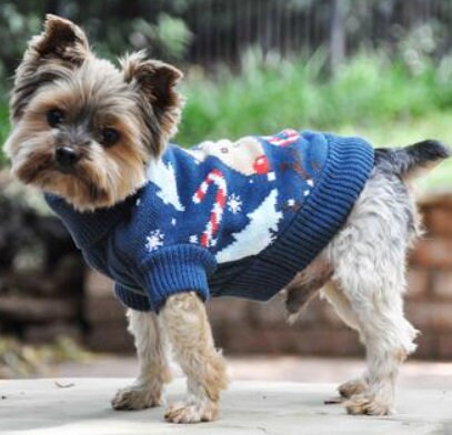 Festive Combed Cotton Holiday Dog Sweaters - My Best Friend Furever