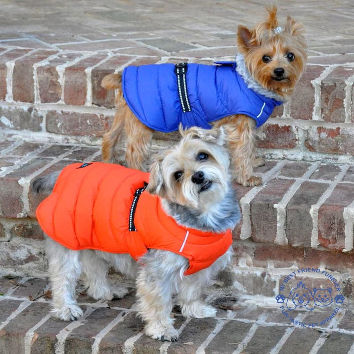 Alpine Extreme Weather Puffer Coat for Adventurous Dogs - My Best Friend Furever